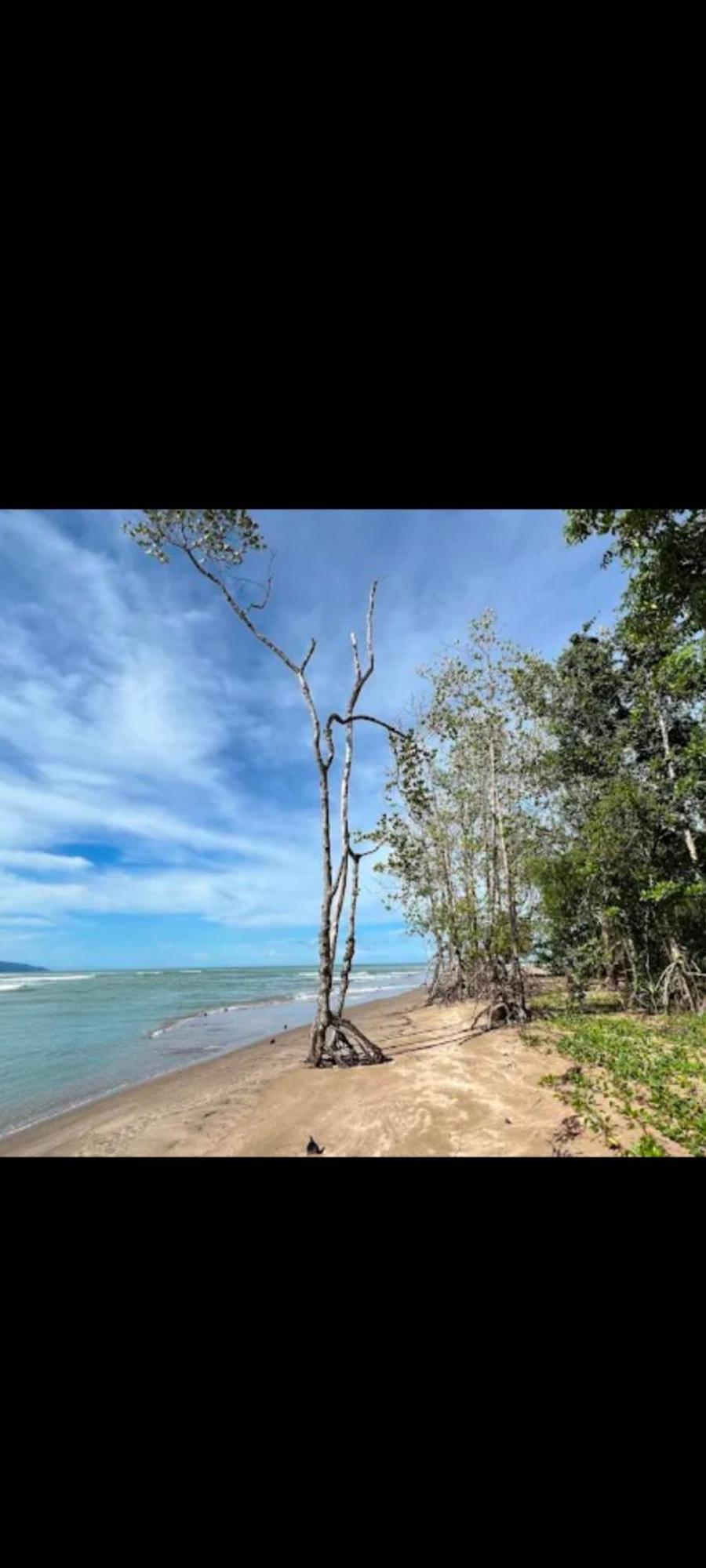 The Mangrove Villa Sematan Ngoại thất bức ảnh